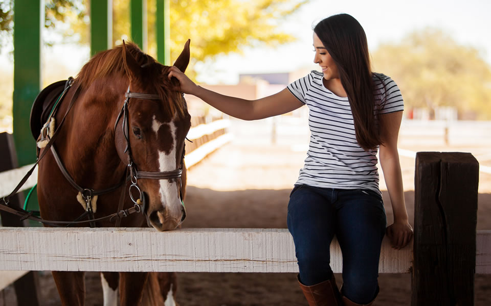 Equine Assisted Coaching